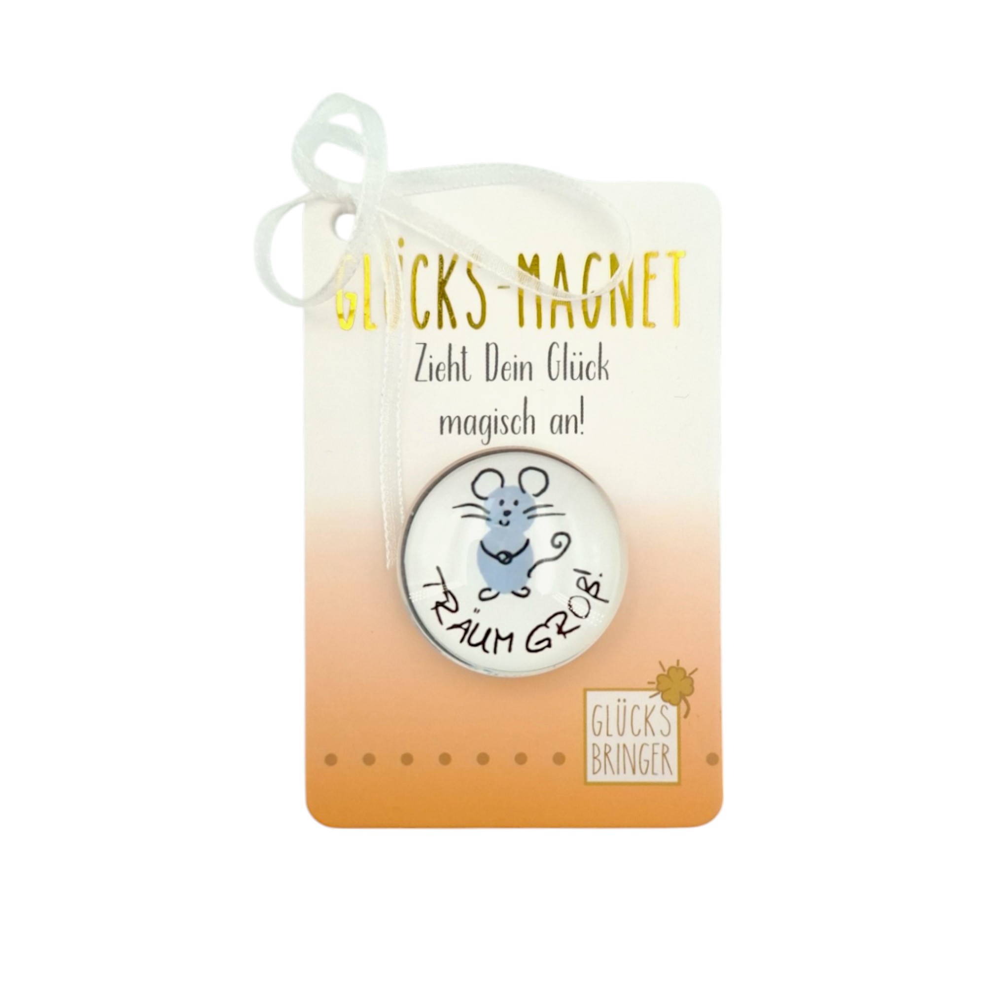 SET Glücks-Magnete im Display 8-fach sort, 64 Stk