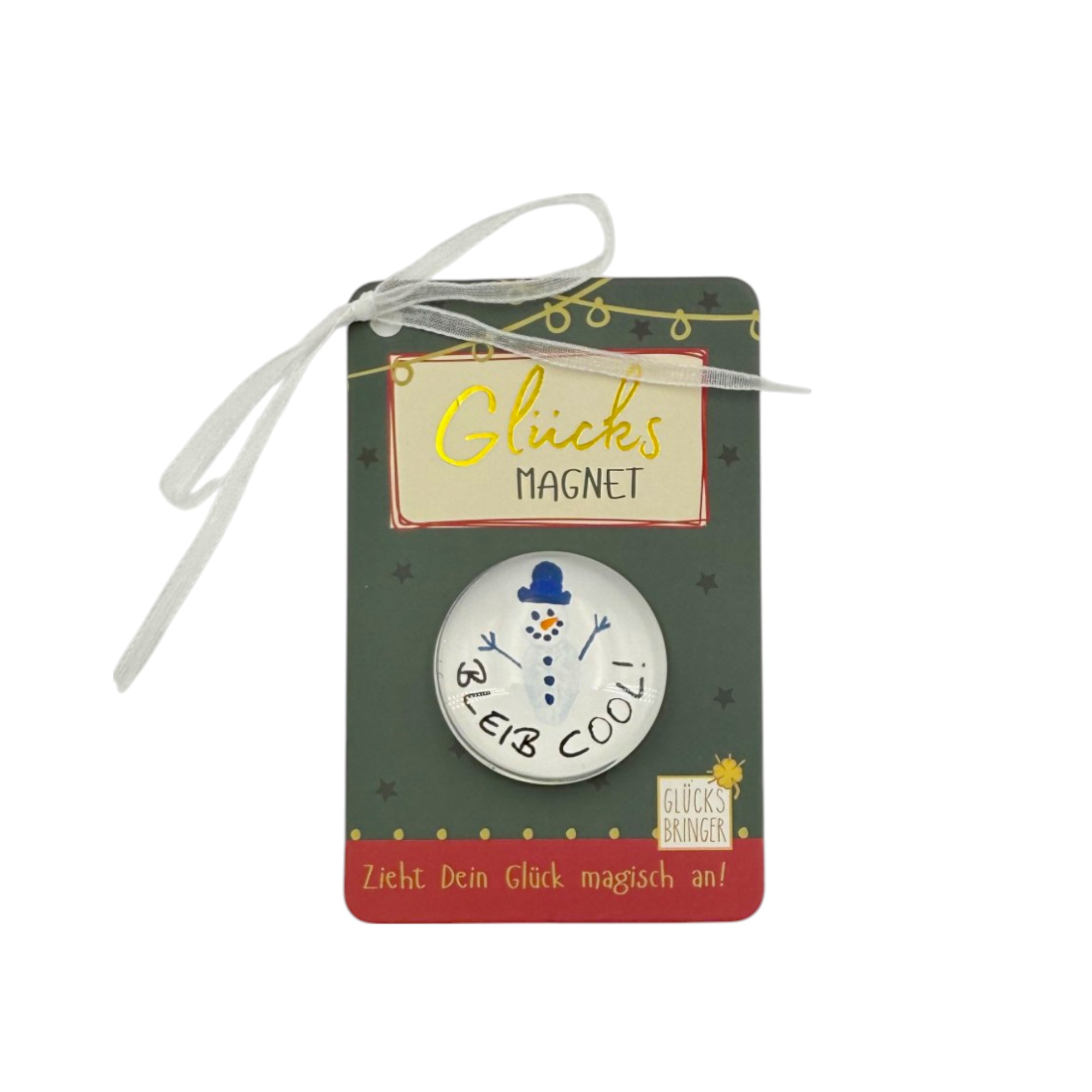SET Magnete Weihnachten im Display, 16 Stk. sort