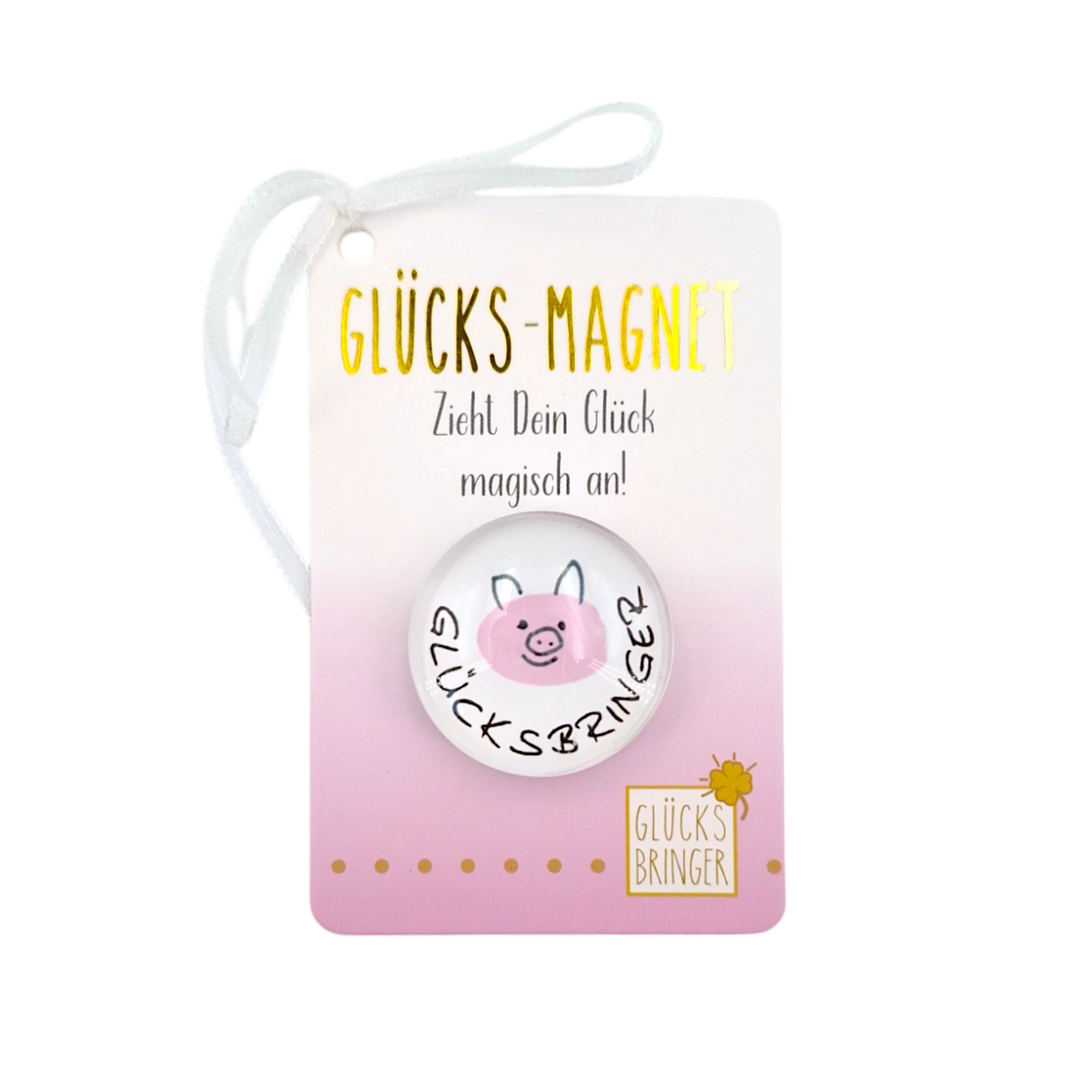 SET Glücks-Magnete im Display 8-fach sort, 64 Stk