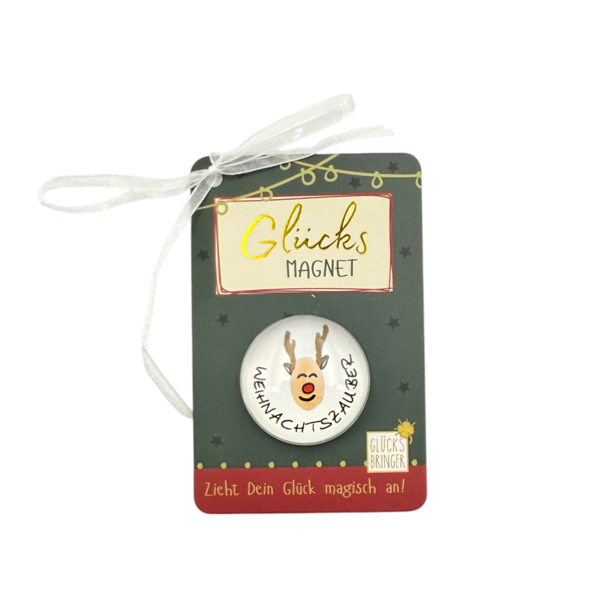SET Magnete Weihnachten im Display, 16 Stk. sort