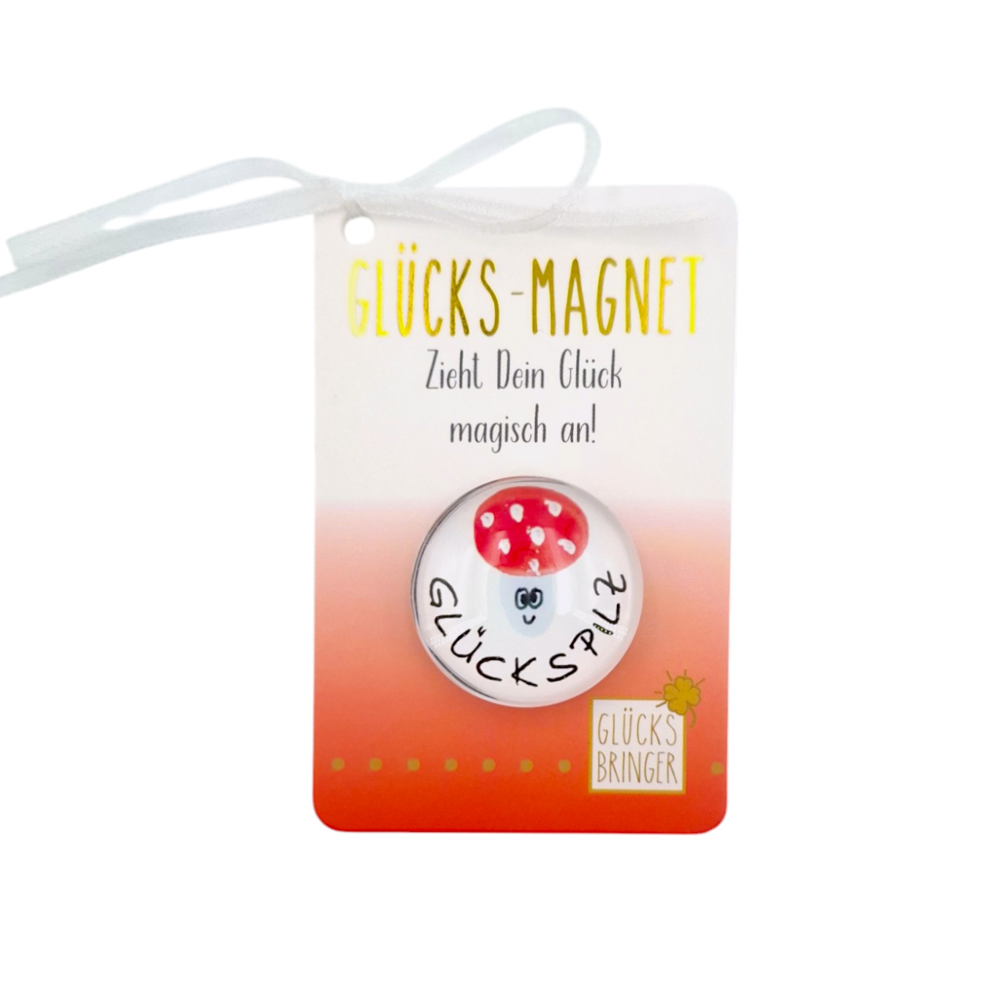 SET Glücks-Magnete im Display 8-fach sort, 64 Stk