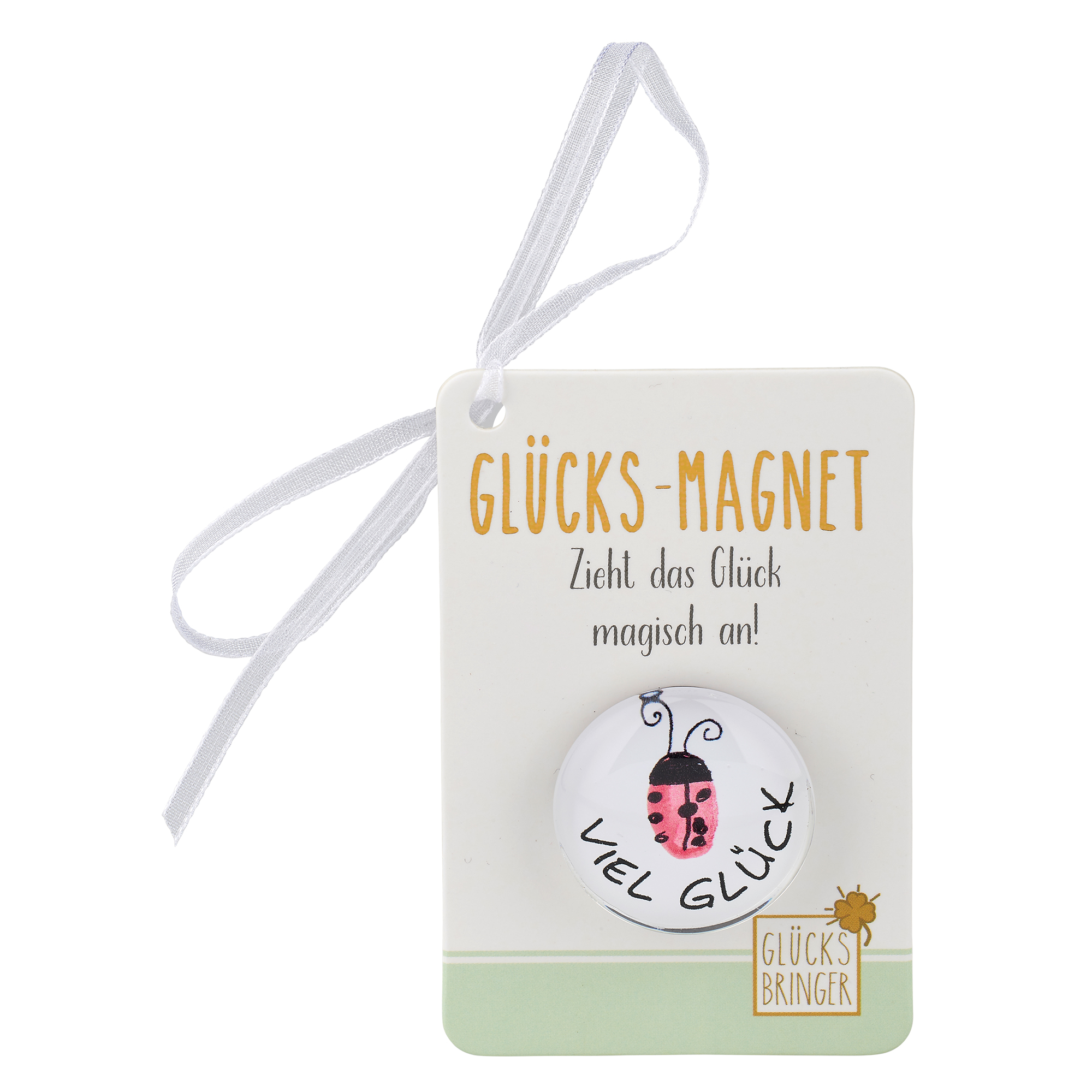 SET Glücks-Magnet, 30 Stk., 5-fach sort, inkl. Display