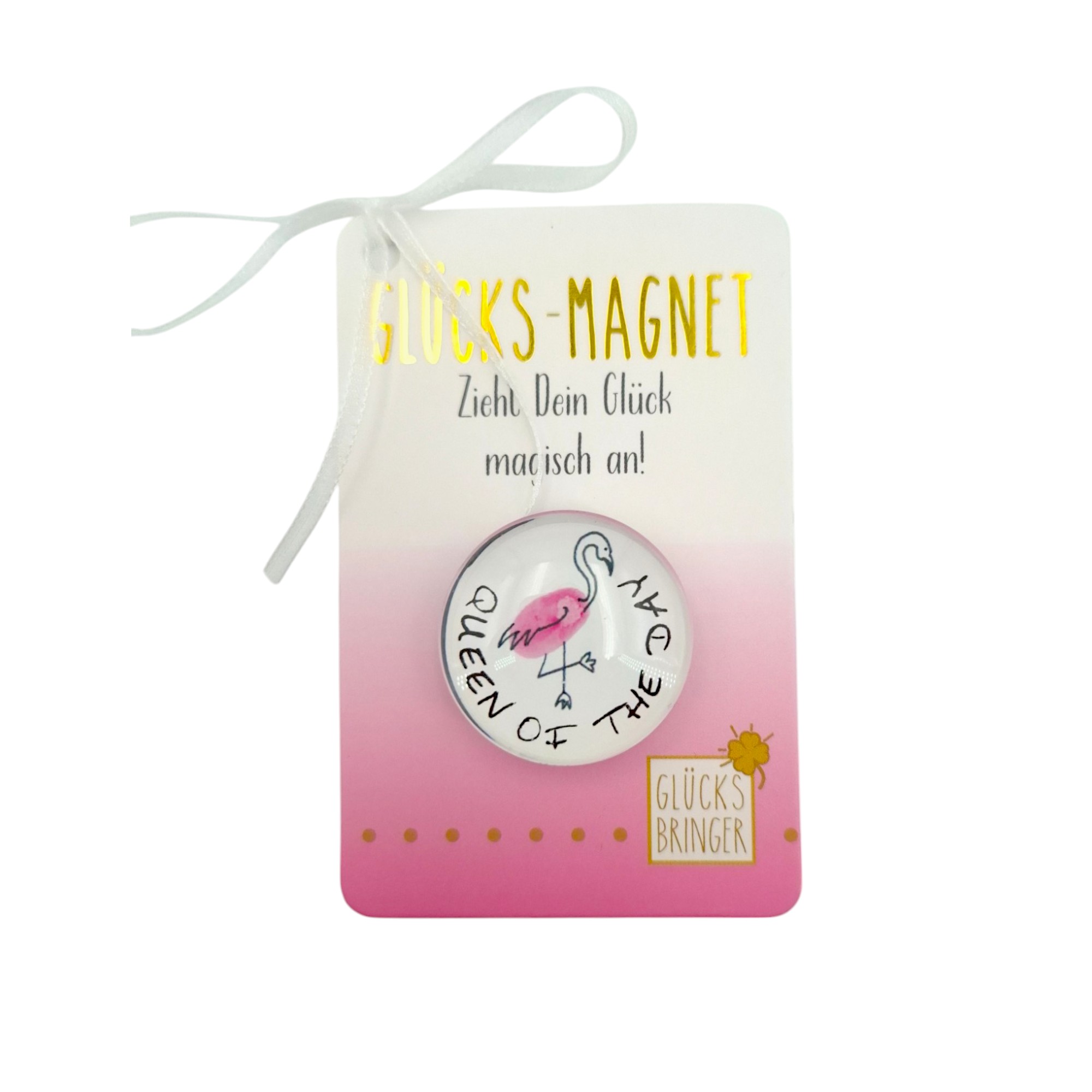 SET Glücks-Magnete im Display 8-fach sort, 64 Stk