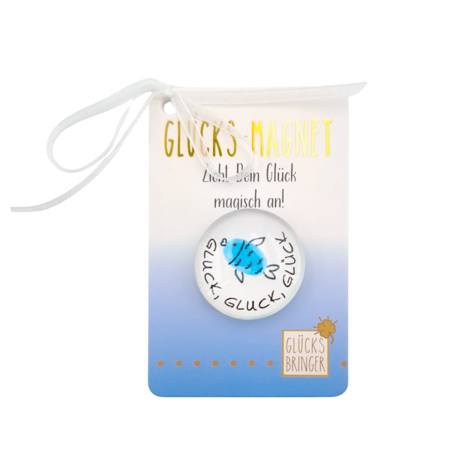 SET Glücks-Magnete im Display 8-fach sort, 64 Stk